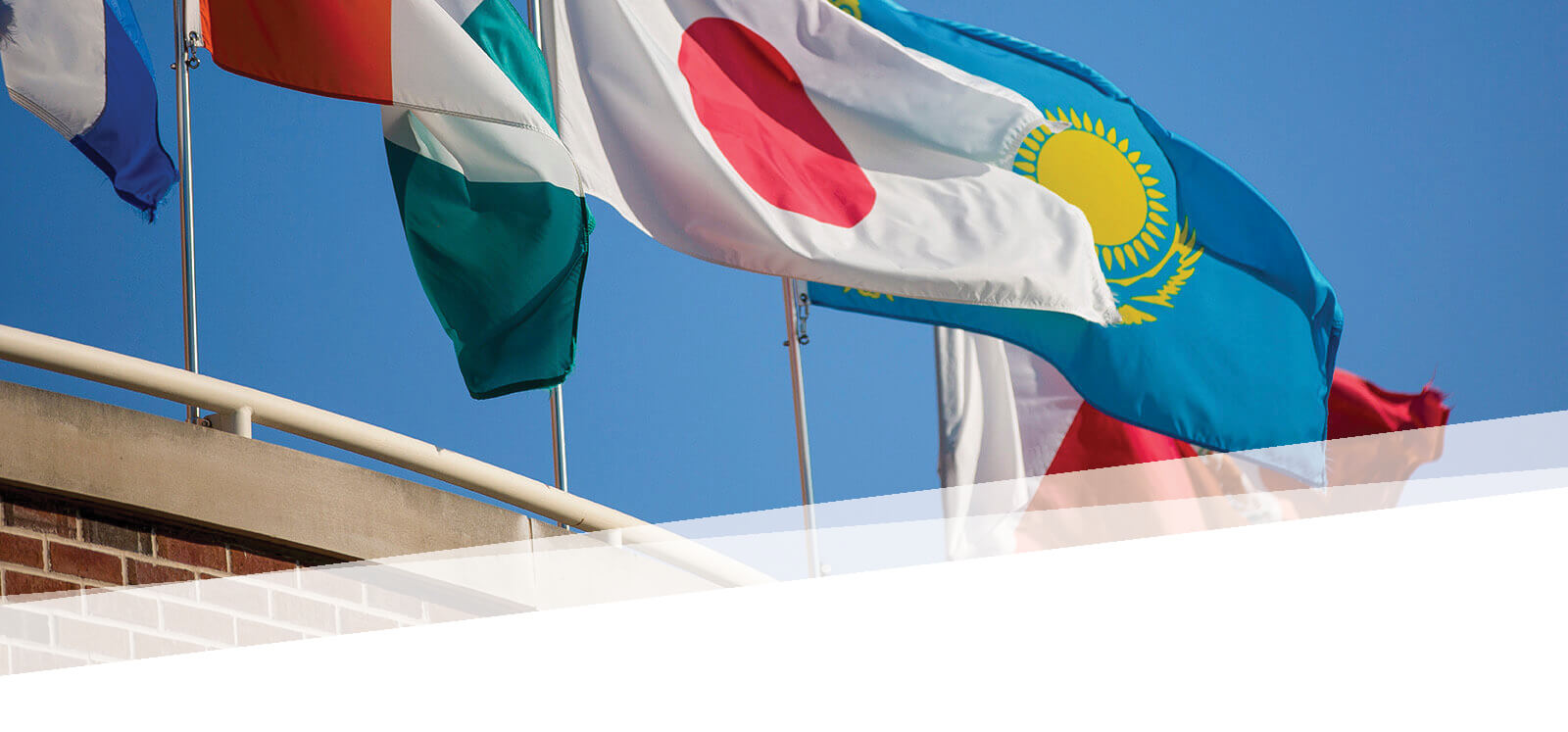 Dozens of flags representing a variety of countries hang in a hallway.