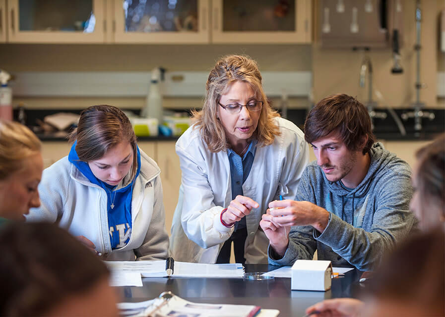 Faculty and students work together in a lab setting
