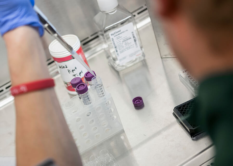 Close-up image of a student using a dropper to add liquid to a test tube.