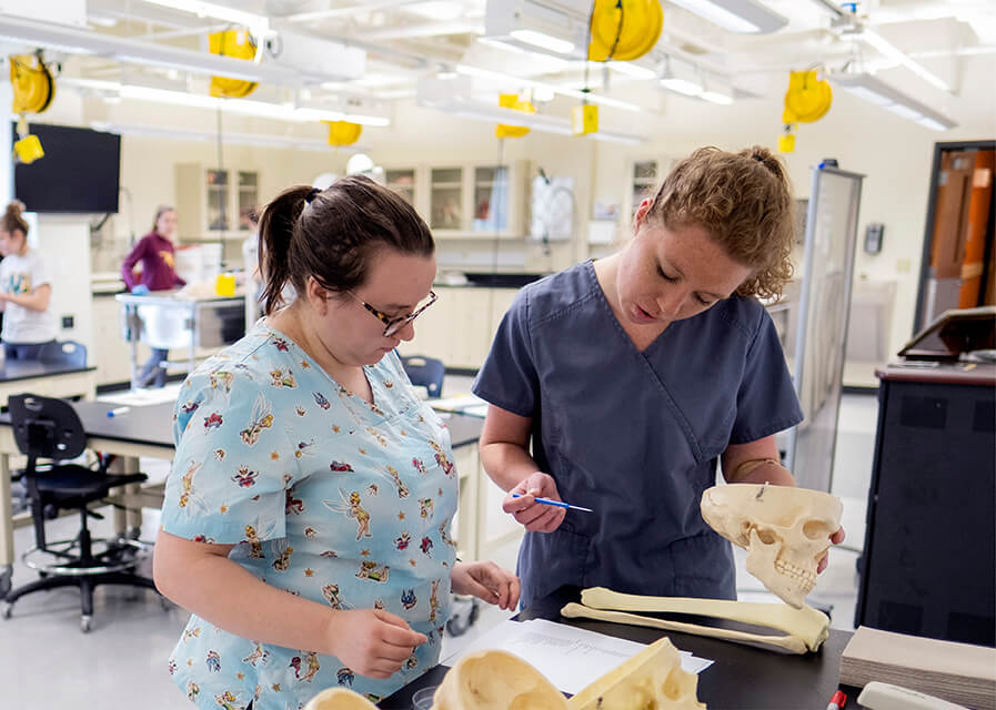 Two students wearing medical scrubs inspect model bones
