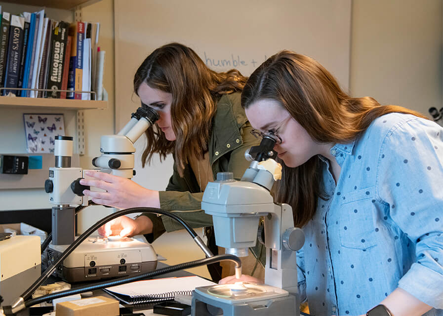 Two students look through microscopes in a science lab.