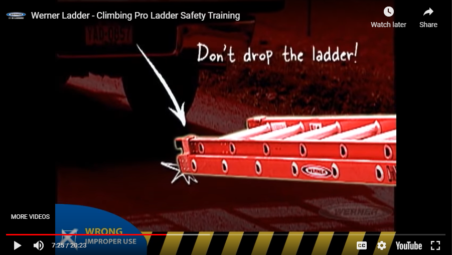 werner-dont-drop-the-ladder.png