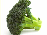 Broccoli Florets Broccoli Florets