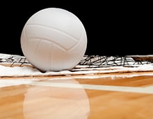 Volleyball and net