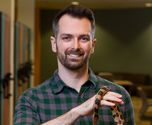 stephen ferguson