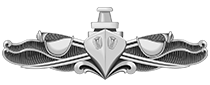 U.S. Navy's Enlisted Surface Warfare Specialist pin