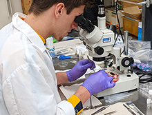 student works on a microscope in a lab coat