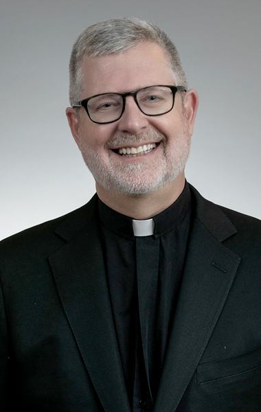 The Rev. Dennis Holtschneider, C.M.